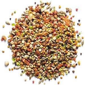 Zupreem Pure Fun Bird Food for Small Birds